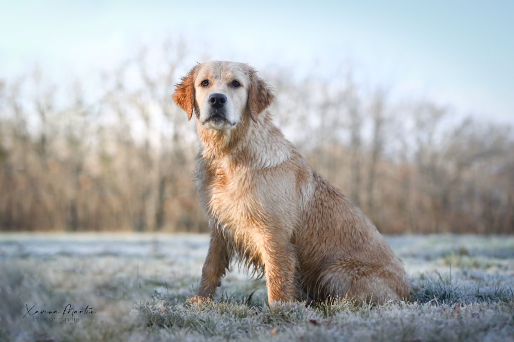 Unconditional nala's memory Angels of Tara